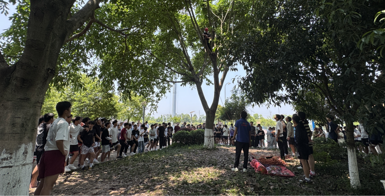 tdTR_1749003008336014750.png 体院 (3).png